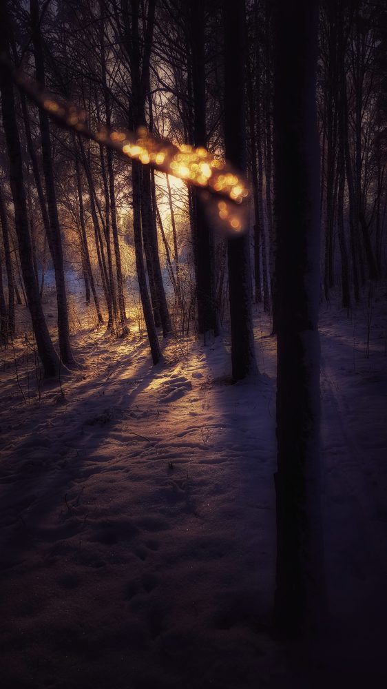 Photograph by Митюшкова Алёна