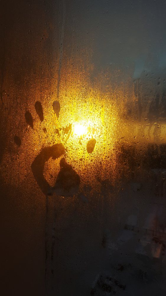 Photograph by Митюшкова Алёна