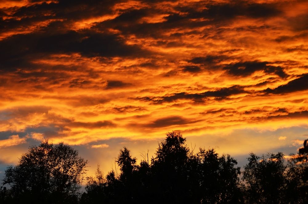 Photograph by Nadezhda