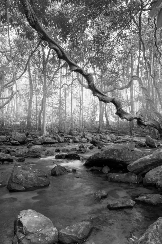 Photograph by Shehan Dondeenu