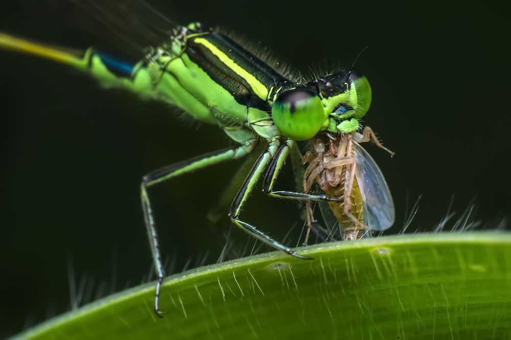Фотография автора NeCoTi ChonTin