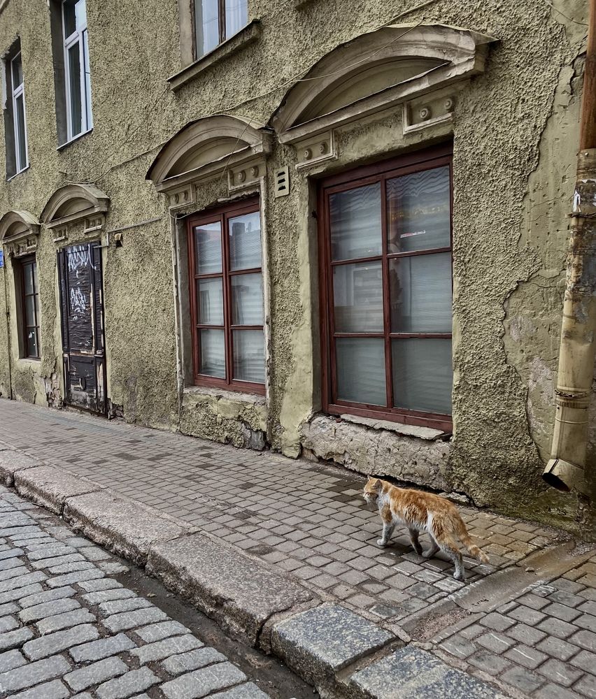 Photograph by Алиса Лукина