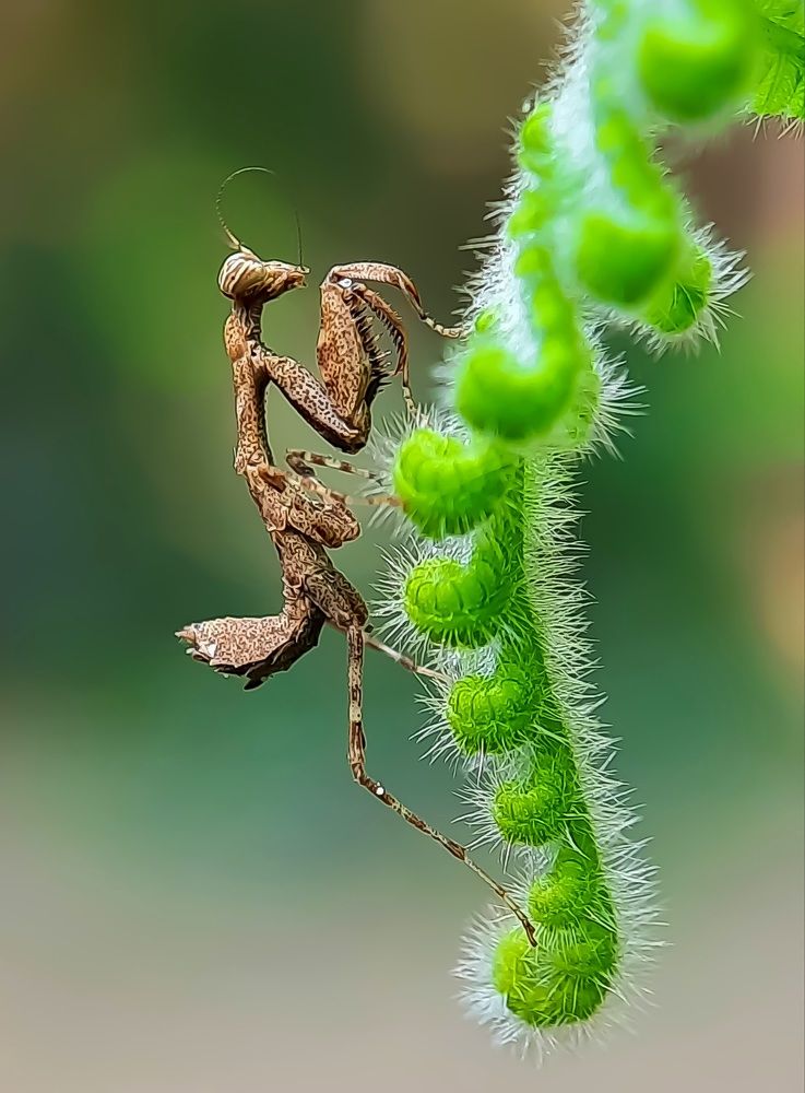 Photograph by Debolina Barman