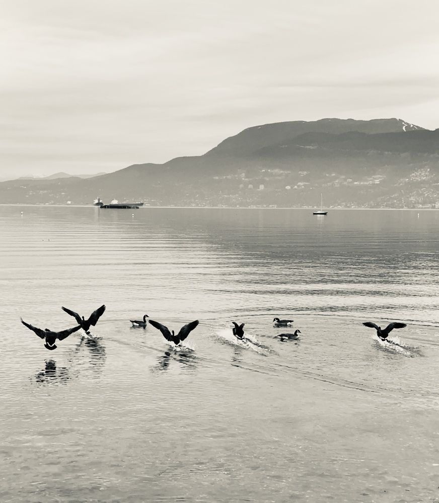 Photograph by Yana Bobrova