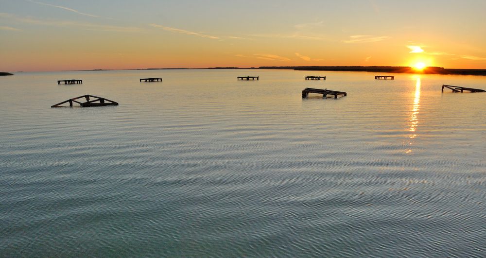 Photograph by Александр Карпенко