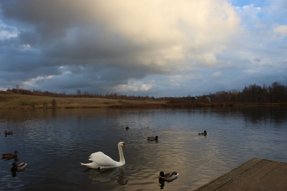 Photograph by Anastasia Kodatenko