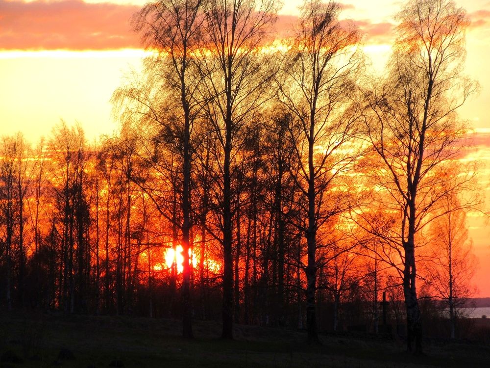 Закат на озере Ильмень