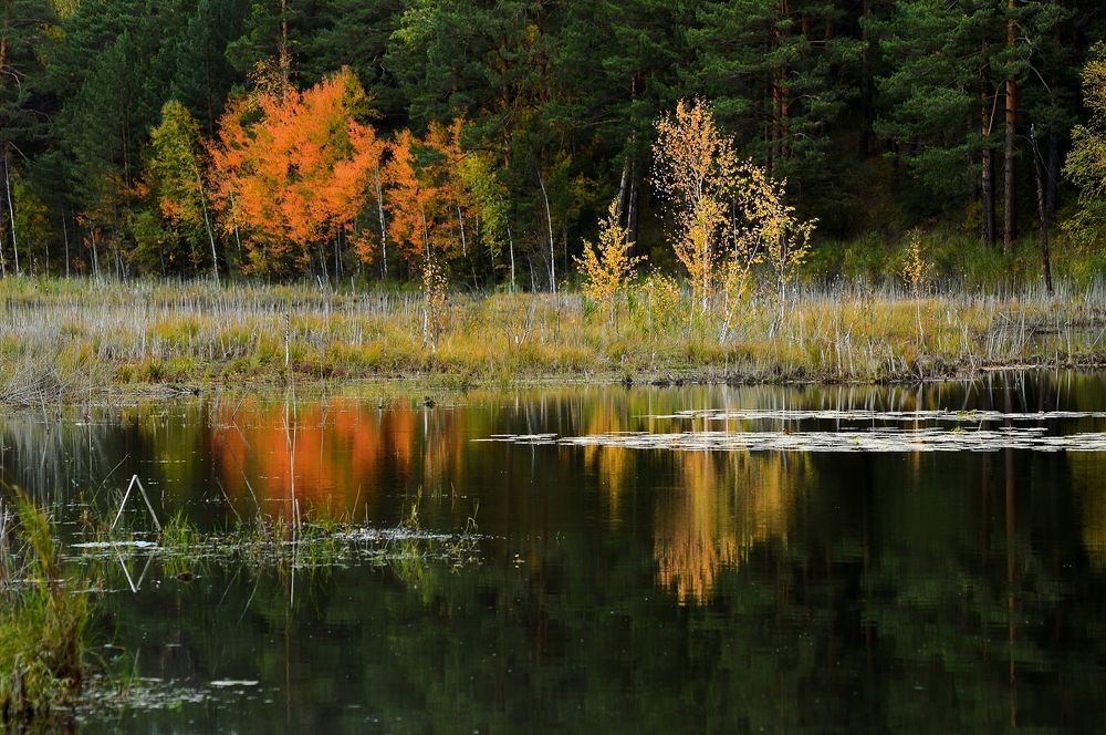 Photograph by Nadezhda