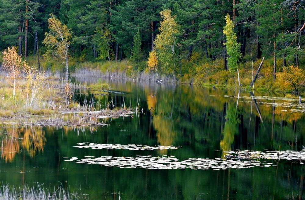 Photograph by Nadezhda