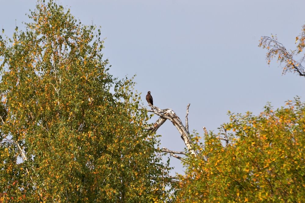 Photograph by Nadezhda