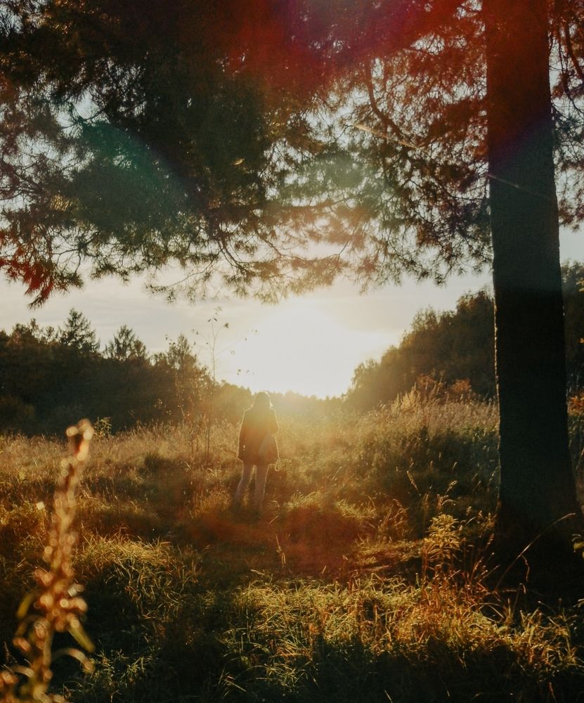 Photo #8438734