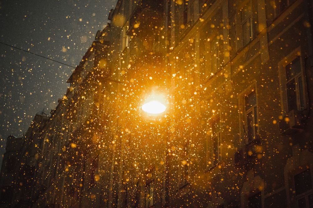 Фотография автора Алексей Новиков