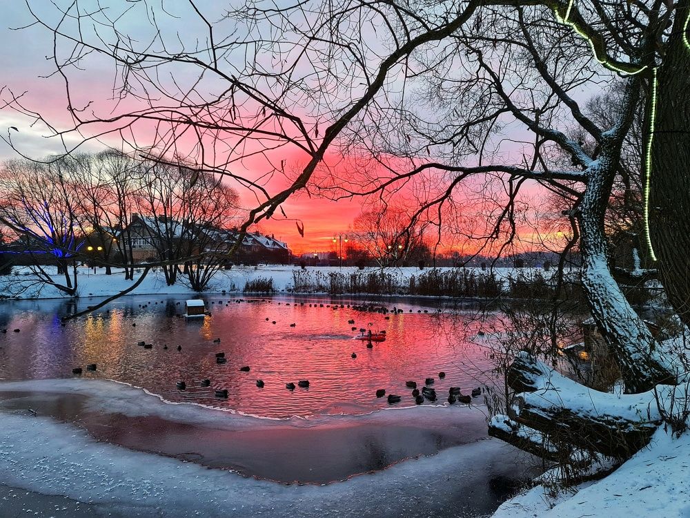 Photograph by Екатерина Золотых