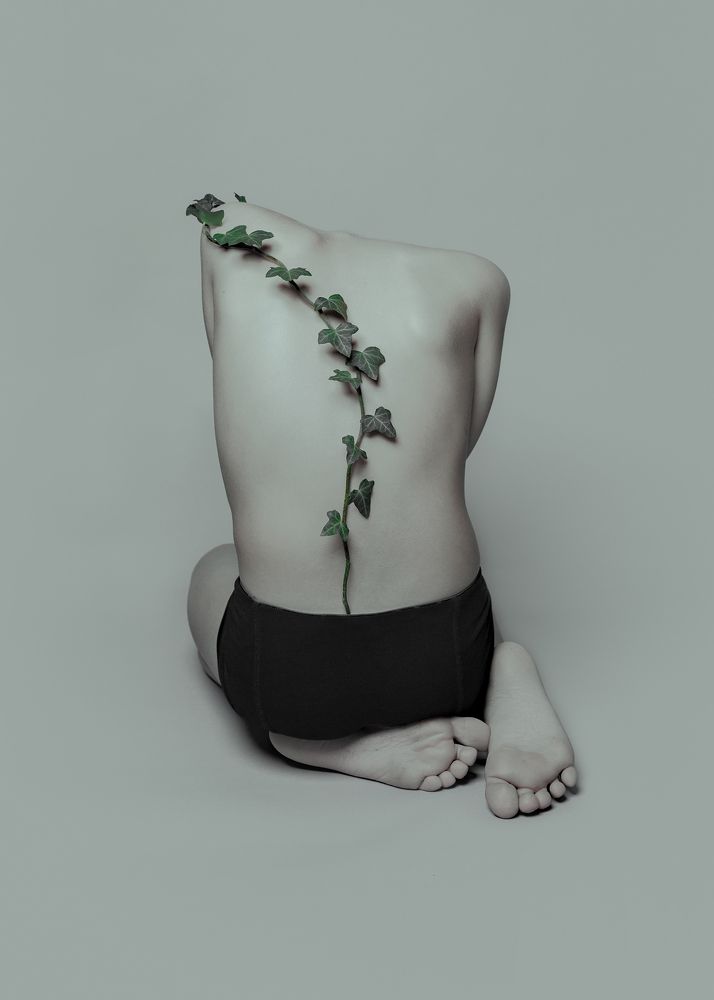 Фотография автора Anna König