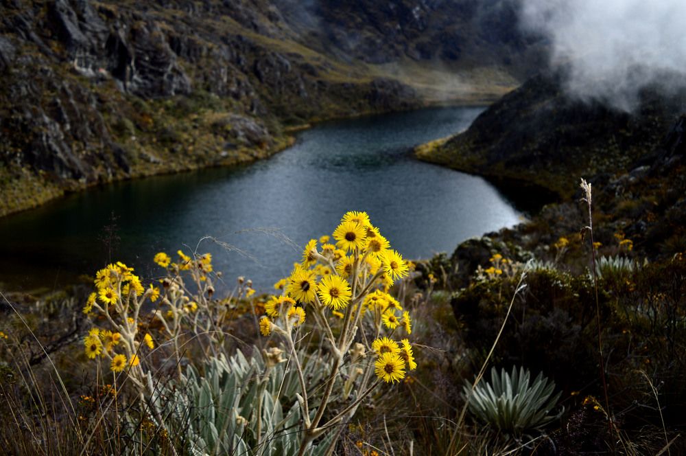 Photograph by Eli Larrucea