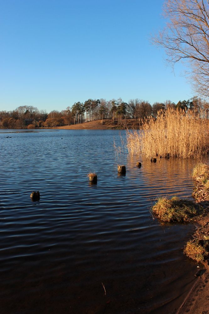 Photograph by Anastasia Kodatenko