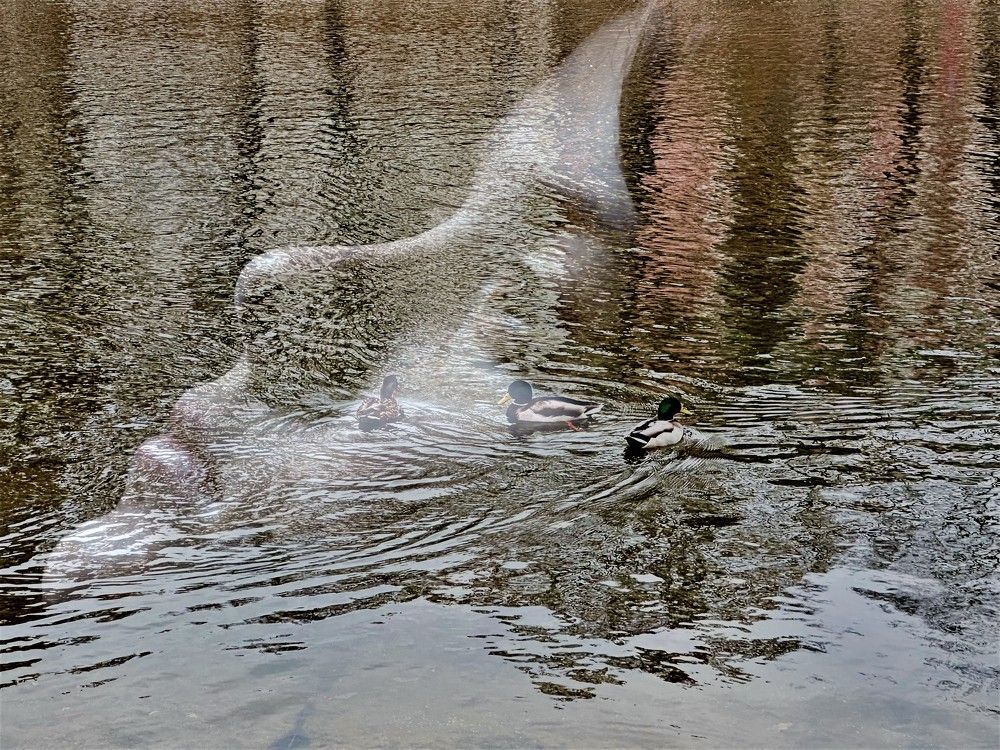 Photograph by Евгения Казакова