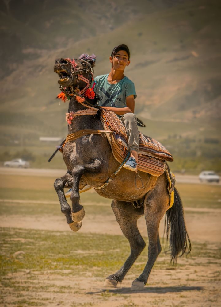 Photograph by Meysam Morovati