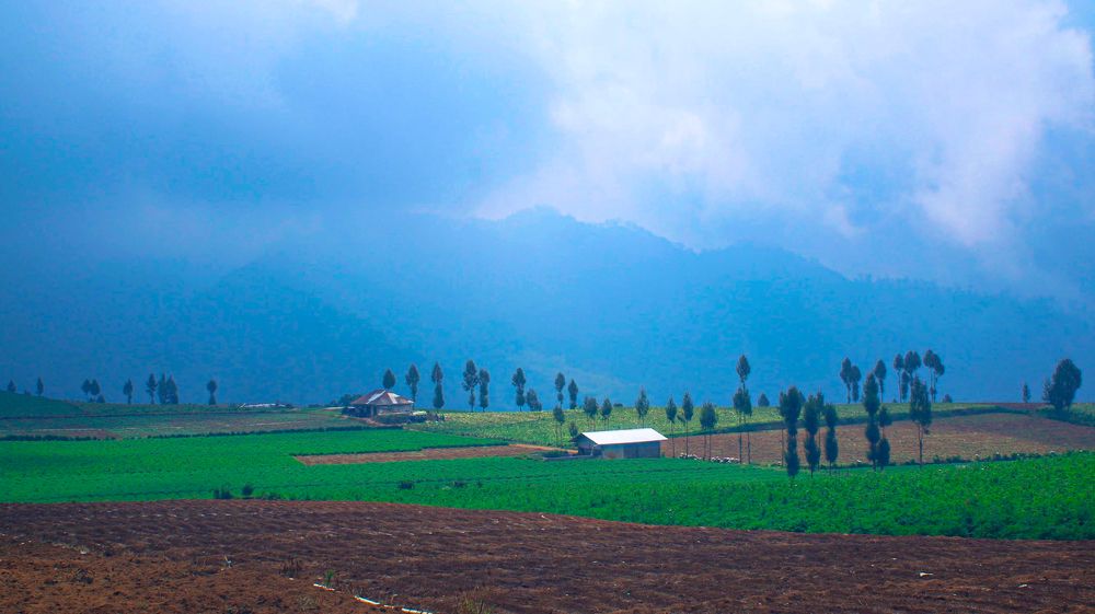 Photograph by Indonesia