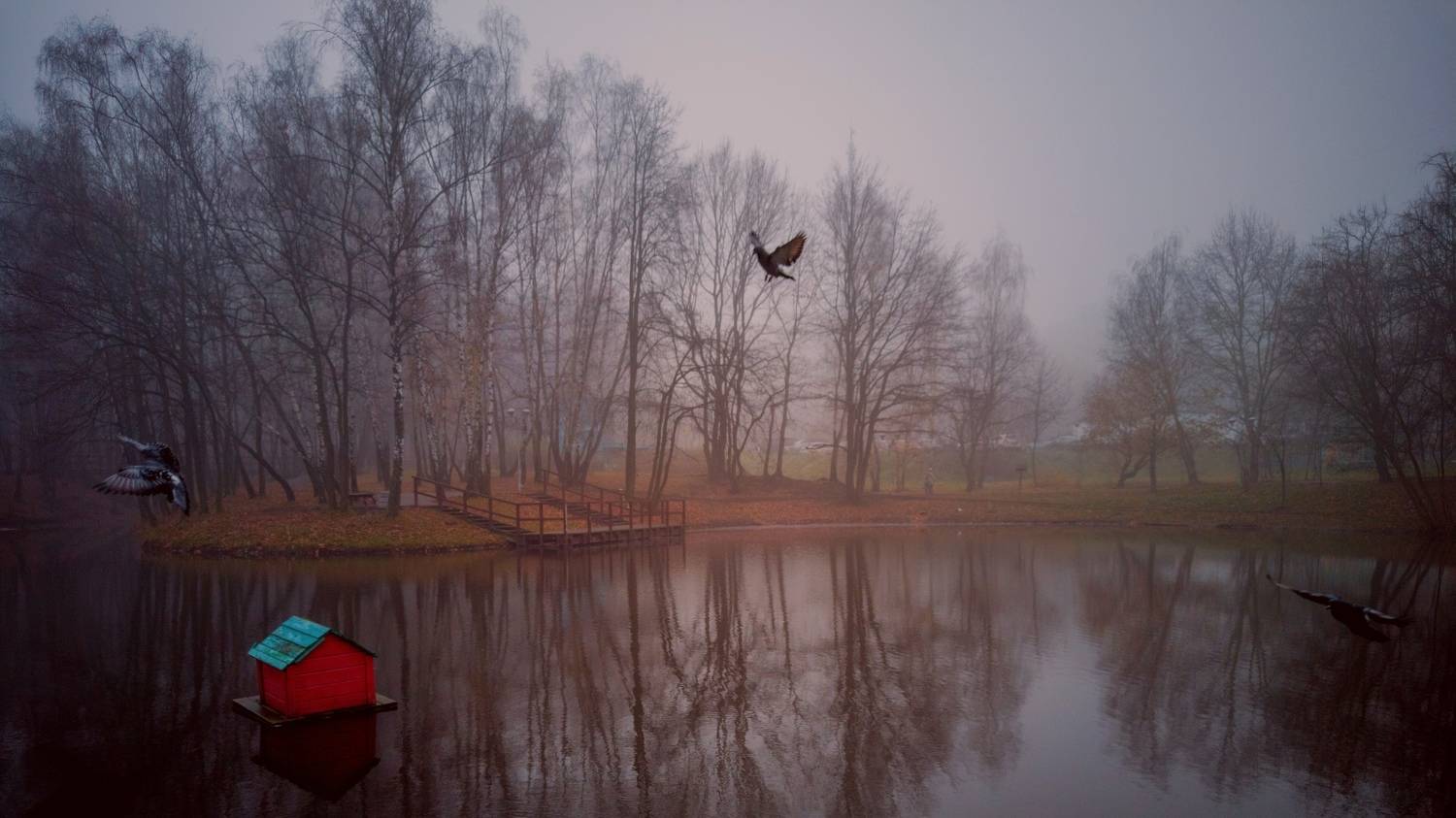 Photo #8438927
