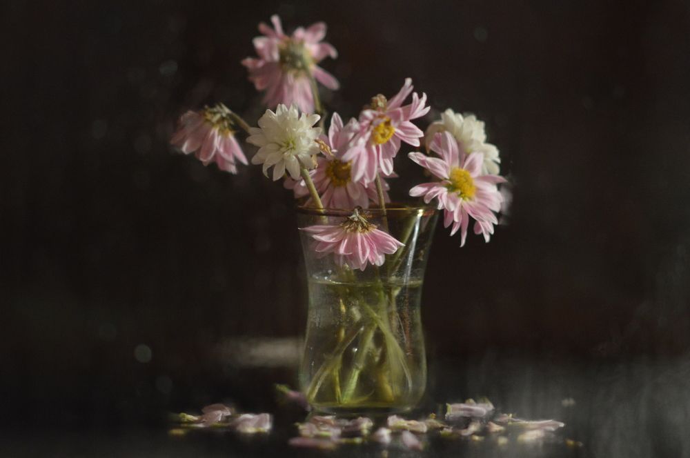 Photograph by Елена Лебедева