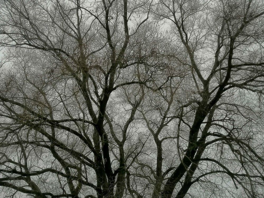 Photograph by Евгений