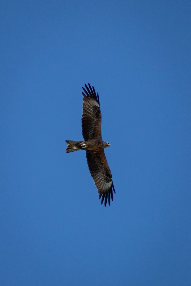 Photograph by Дамир Давронов