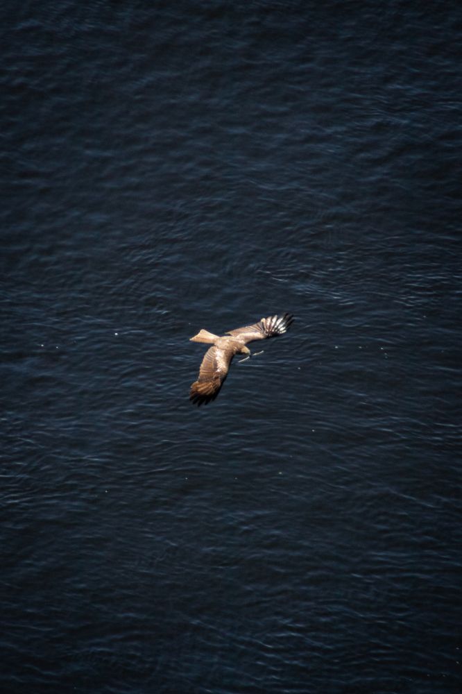 Photograph by Дамир Давронов