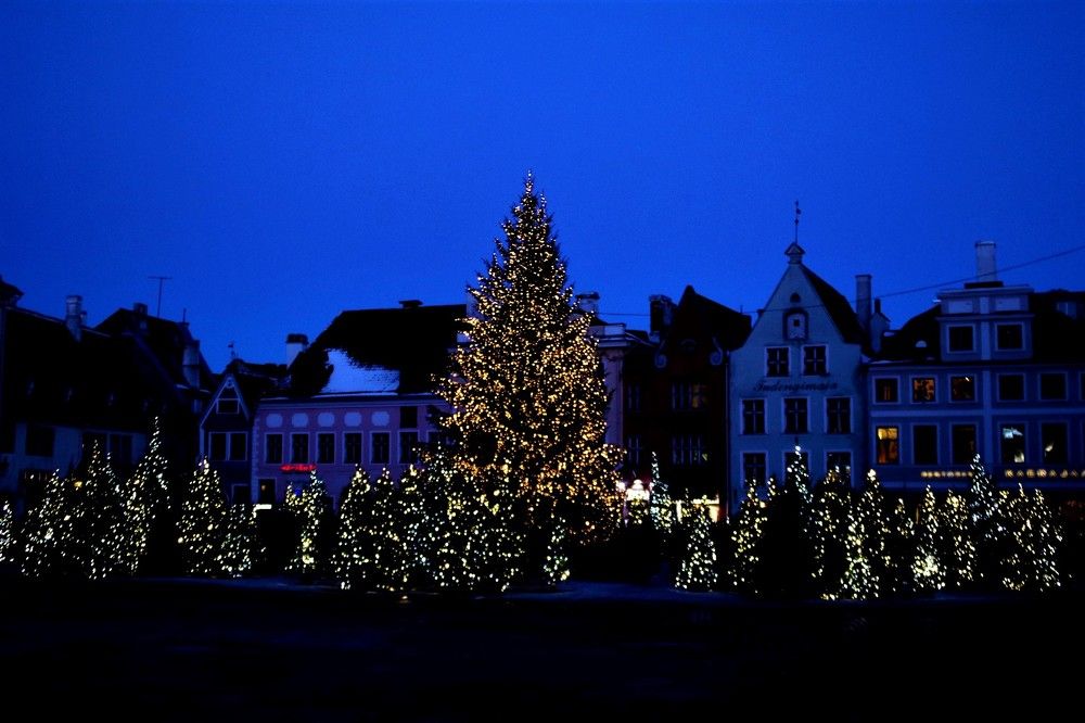 Фотография автора caroline martin (dony)