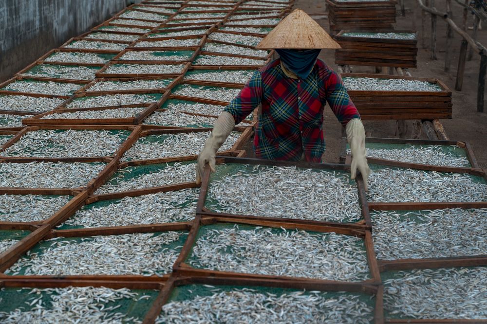 Фотография автора Dang Le