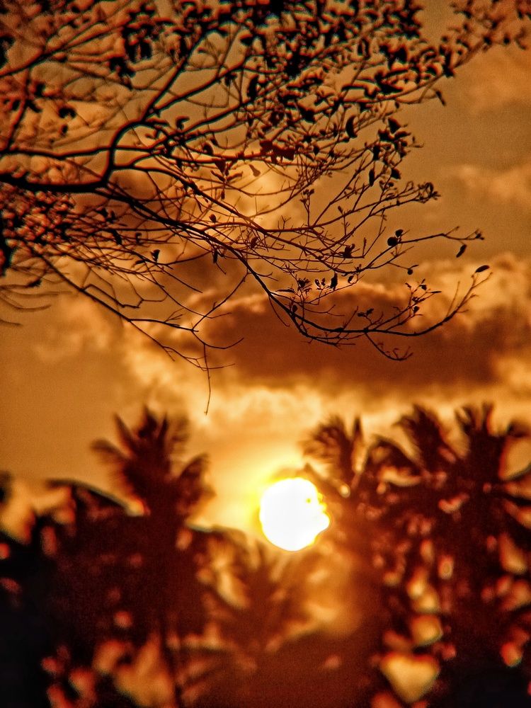 Photograph by Thimira dinisuru