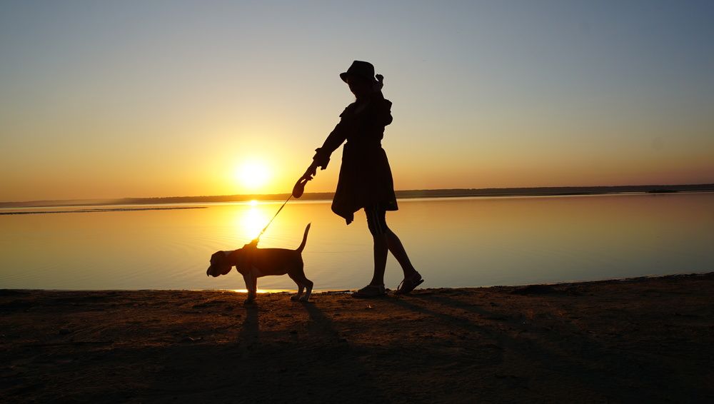 Фотография автора Эрнст Антонов