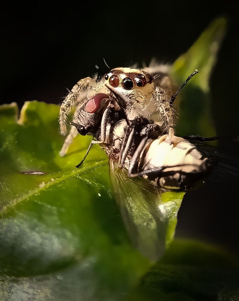 Photograph by Thimira dinisuru