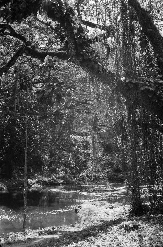 Photograph by Valentina Muravleva