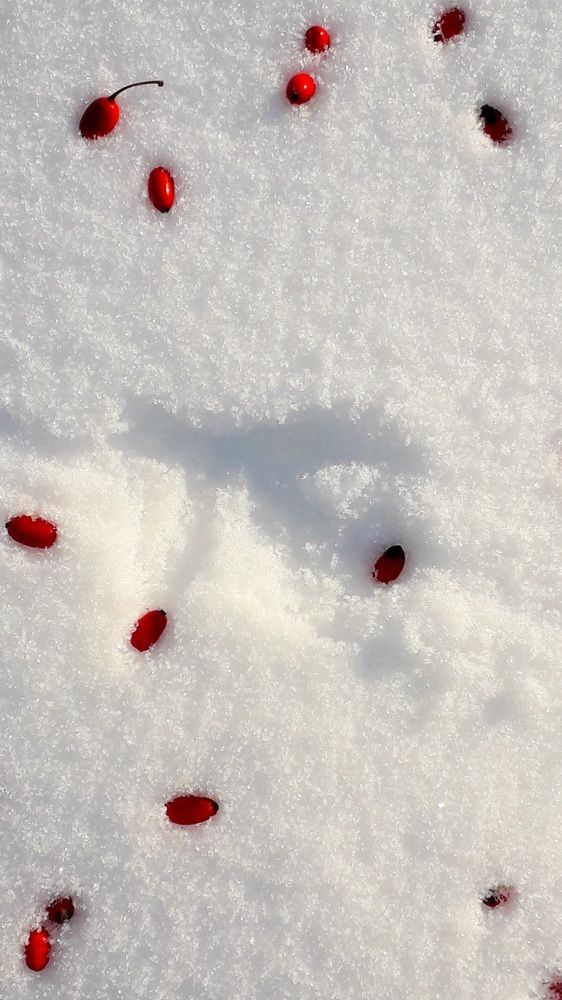 Photograph by Валентина