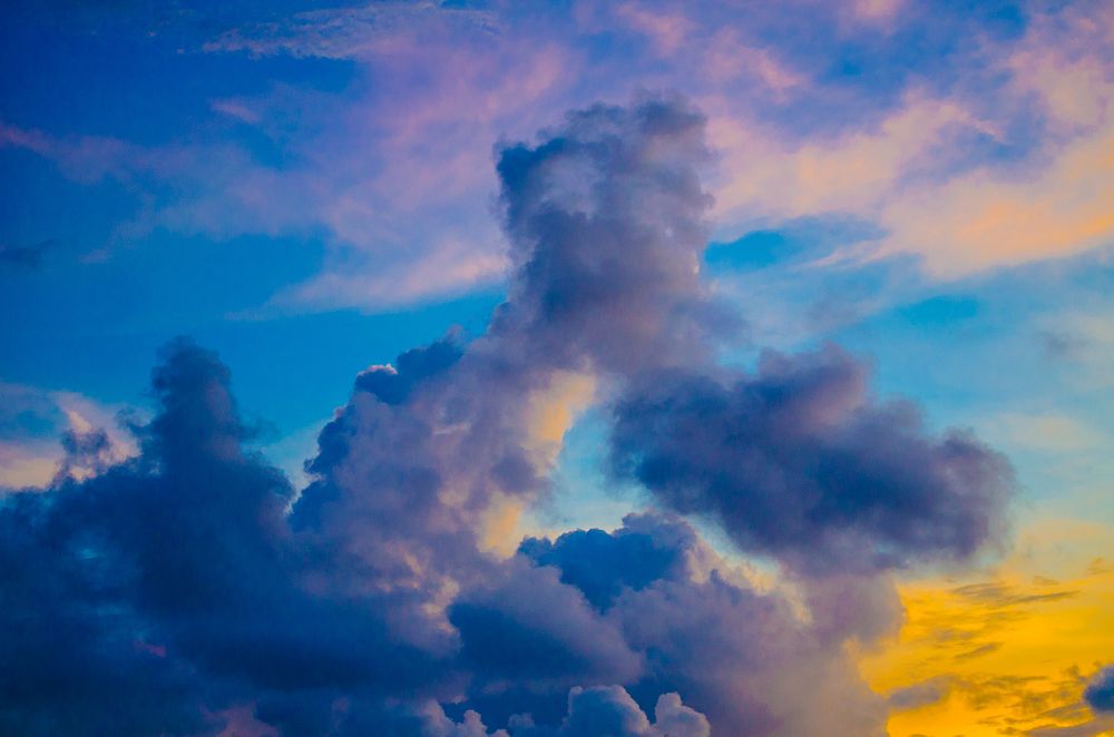 Photograph by Milton Sosa Mc Donald