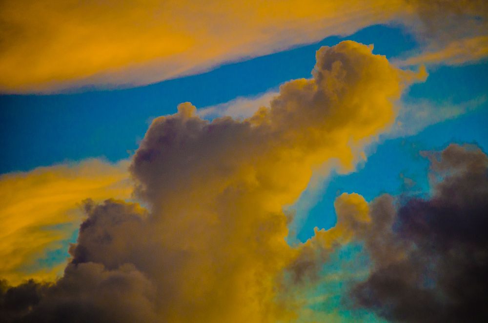 Photograph by Milton Sosa Mc Donald