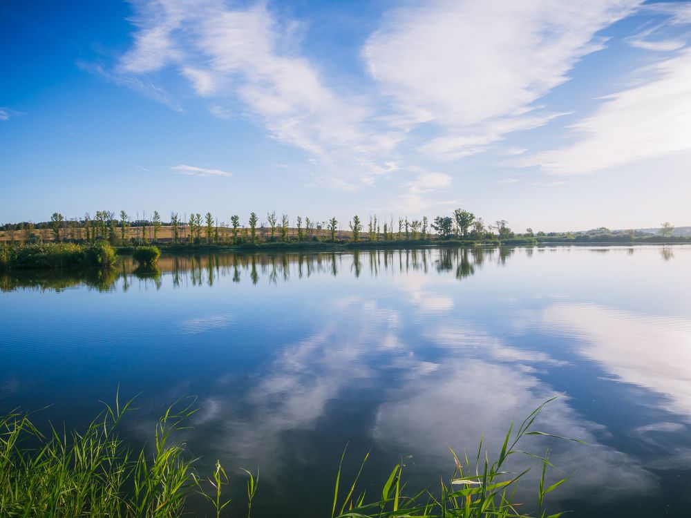 Photograph by Дмитрий Головко