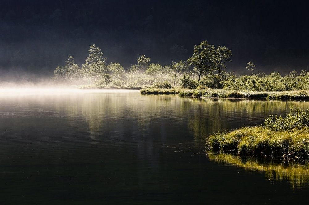 Fog meets lake
