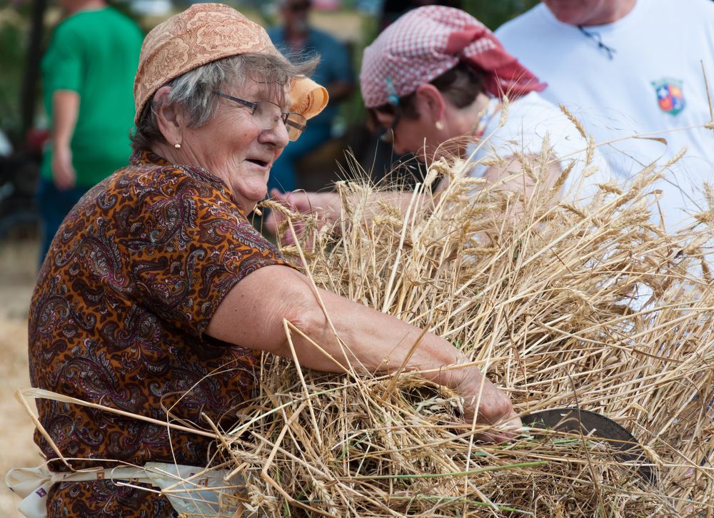 Photograph by Dragan Leles