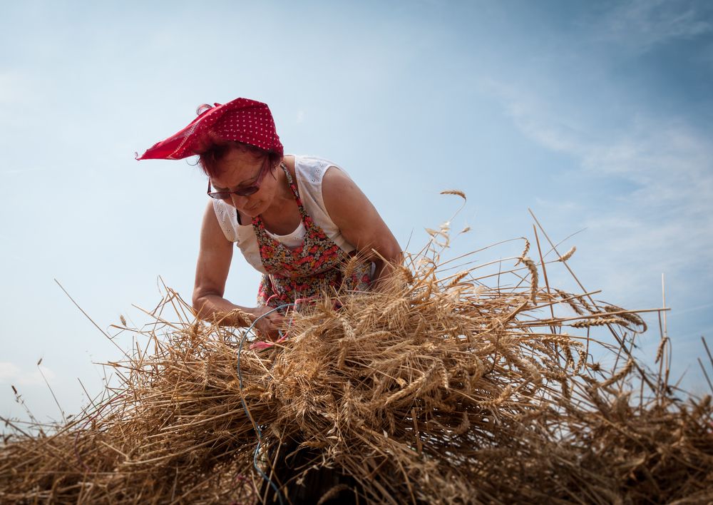 Photograph by Dragan Leles