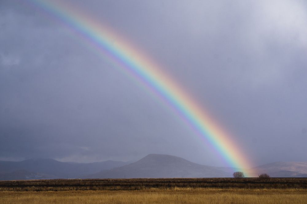 Photograph by Анна Дубровская