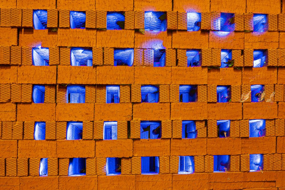 Фотография автора Алексей Школдин