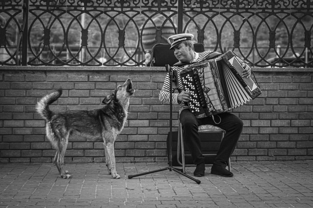 Photograph by Стариков Алексей