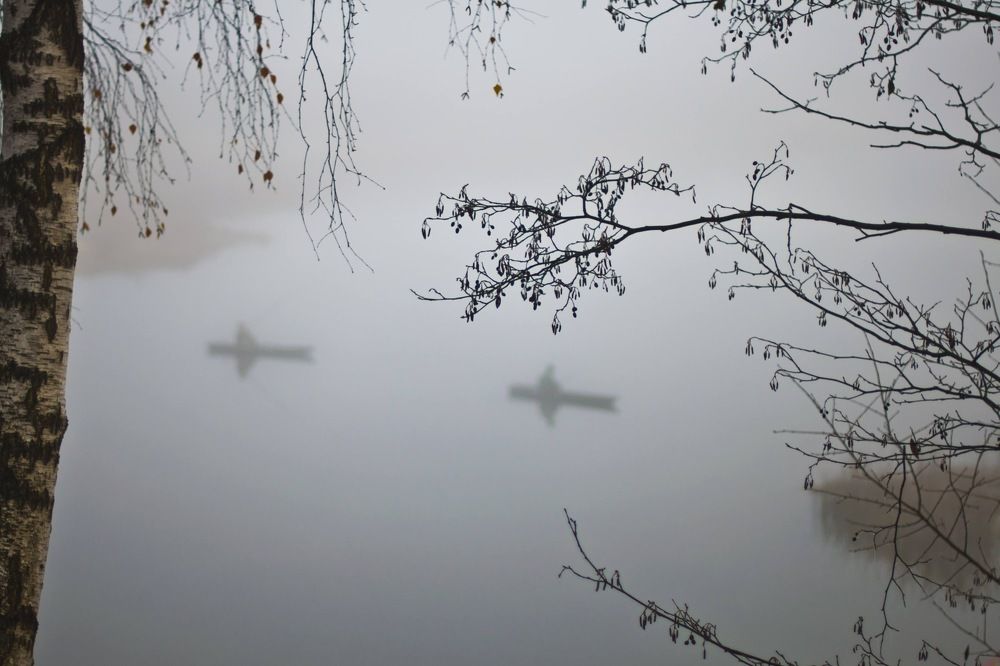 Photograph by Дмитрий Жуков