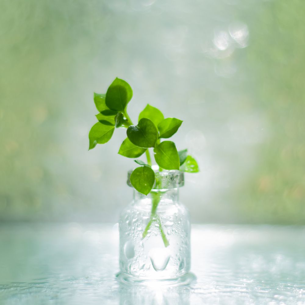 Photograph by Елена Мирзоева