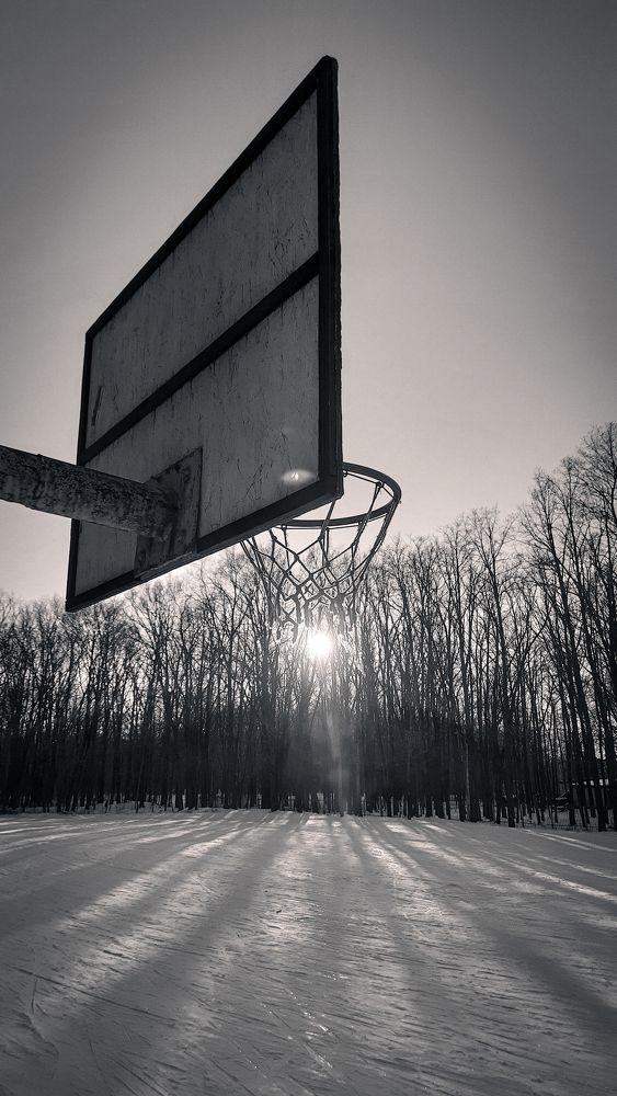 Photograph by Стариков Алексей