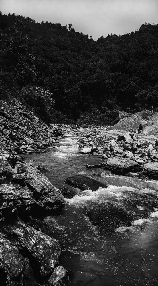 Photograph by Sudipta Sadhukhan