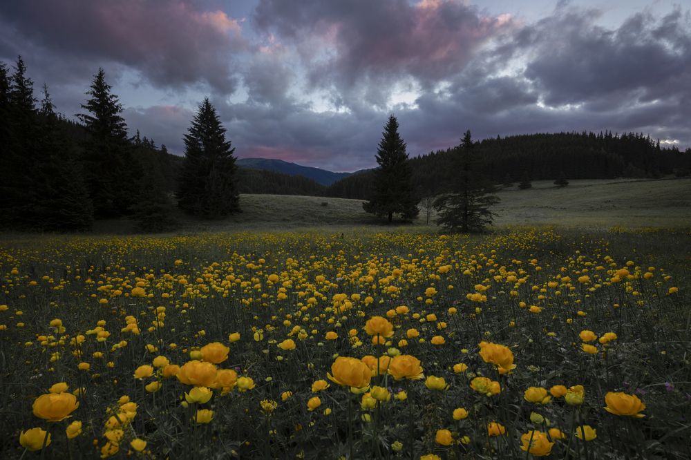 Photograph by Tihomir Stoykov