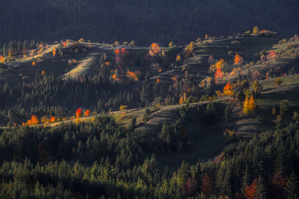 Photograph by Tihomir Stoykov